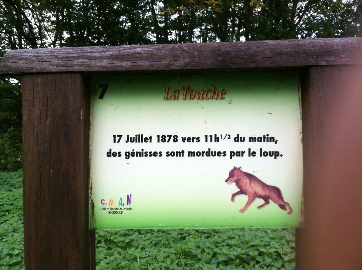 Bed and Breakfast Domaine De La Touche Mosnay Екстер'єр фото